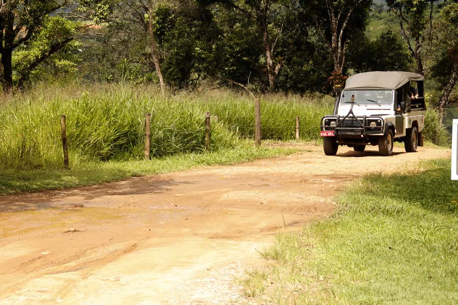 Full-Day Jungle Jeep Waterfall and Cachaça Distillery Tour - Jeep roads into Paraty’s forest