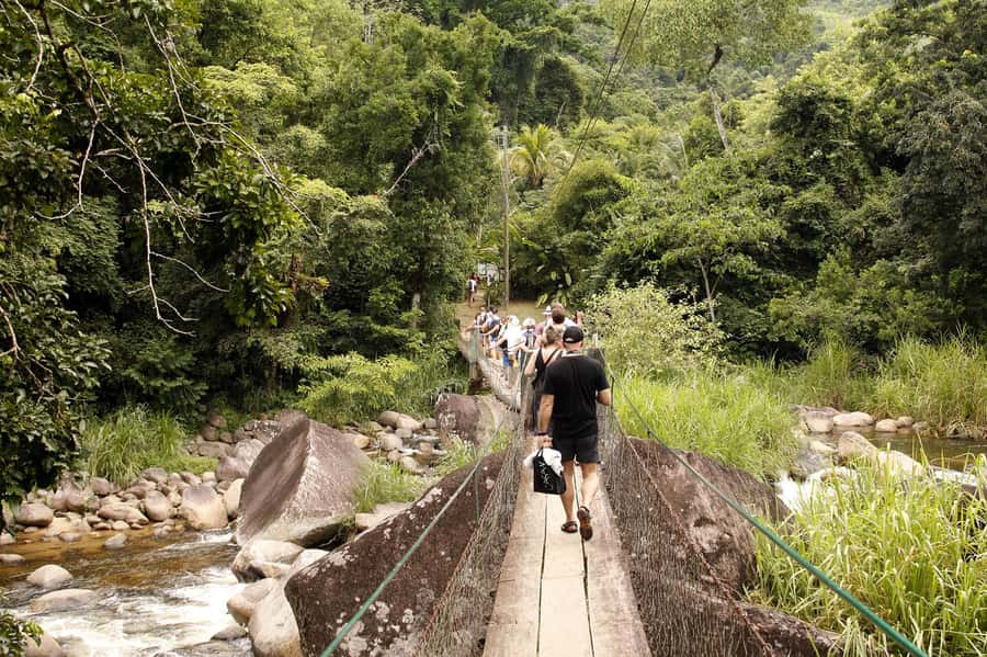 Full-Day Jungle Jeep Waterfall and Cachaça Distillery Tour - Timing, packing, and practical advice