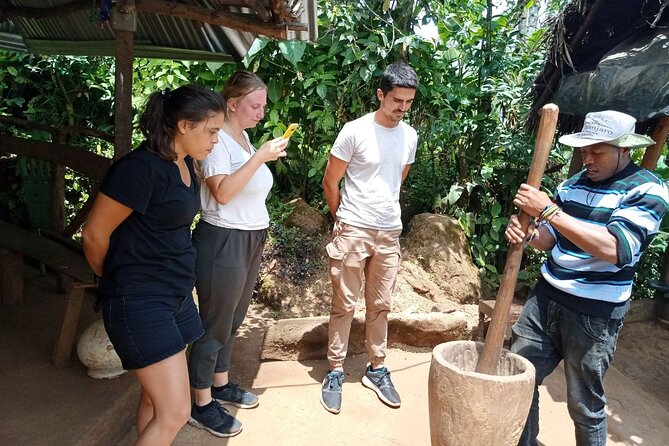 Full Day Materuni Water Falls, Hiking and Coffee Making Tour in Moshi - Why Materuni Works as a One-Day Break