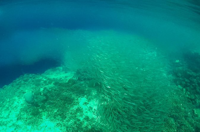 Full-Day Moalboal Islands and Kawasan Falls Small-Group Tour from Cebu - Food, comfort, and the long road day