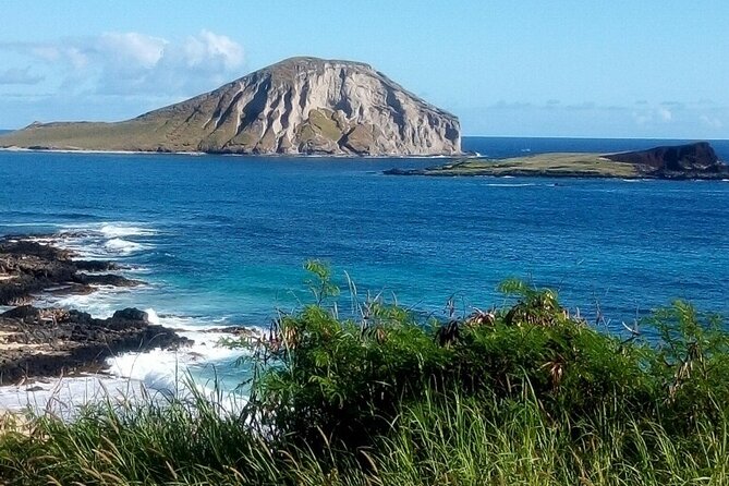 Full Day Oahu Tour with Byodo Temple & Waimea Waterfalls - North Shore lunch and local flavors