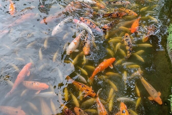Full Day Oahu Tour with Byodo Temple & Waimea Waterfalls - Macadamia nuts at Tropical Farms