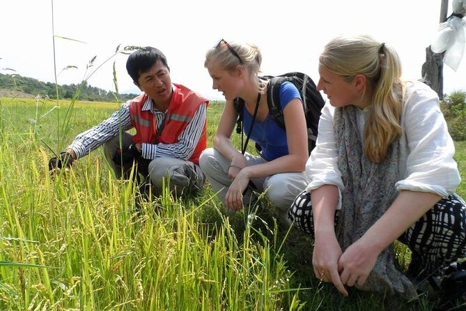 Full Day Private Silk Village And Elephant Waterfall Tour - Why this Da Lat day trip works