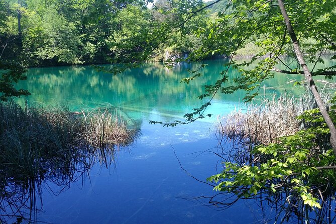 Full-Day Private Tour of Plitvice Lakes National Park from Zadar - Key points to know before booking