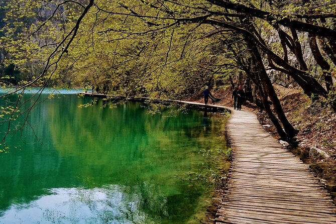 Full-Day Private Tour of Plitvice Lakes National Park from Zadar - Why a Private Guide Helps Inside the Park