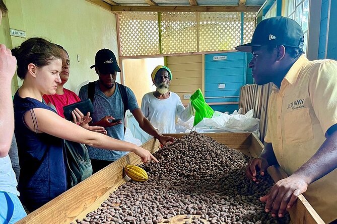 Full-Day Tour: Concord Waterfall, Chocolate Factory, Rum Distillery, Grand Etang - River Antoine Rum Distillery: the tour’s most distinctive stop