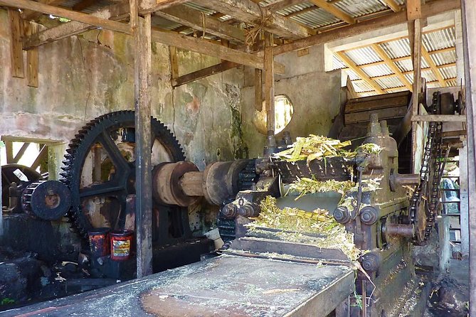 Full-Day Tour: Concord Waterfall, Chocolate Factory, Rum Distillery, Grand Etang - What the drive adds, and what it takes away