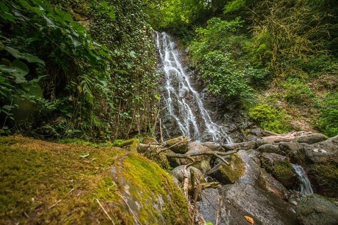 Full Day Tour from Batumi to Waterfalls - The possible Gonio stop needs clarification