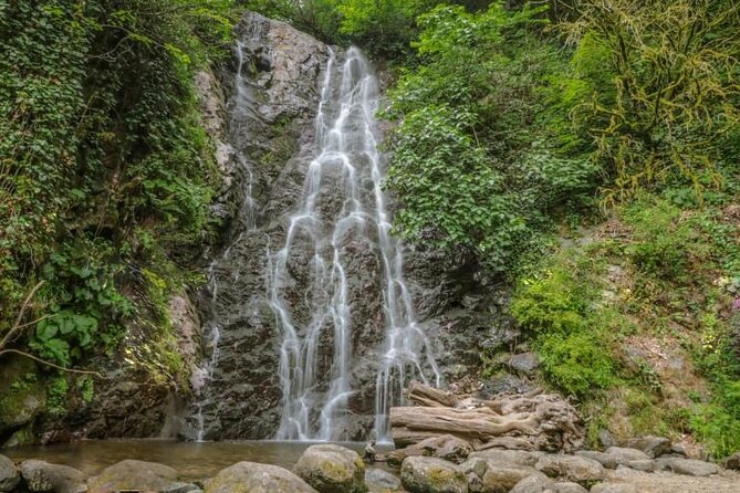 Full Day Tour from Batumi to Waterfalls - A private car makes the schedule more useful
