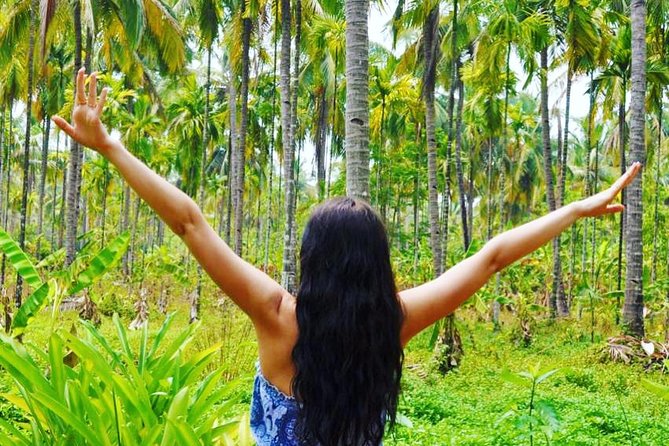 Full-Day Tour Old Goa Dudhsagar Falls and Spice Plantation - The long day and the real timetable