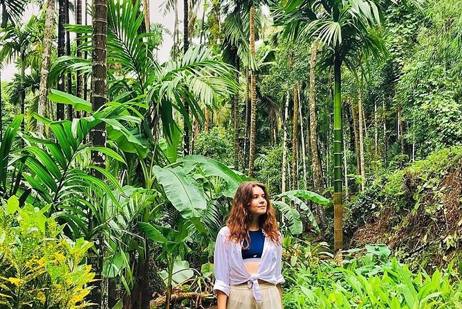 Full-Day Tour Old Goa Dudhsagar Falls and Spice Plantation - English guiding needs a clear question