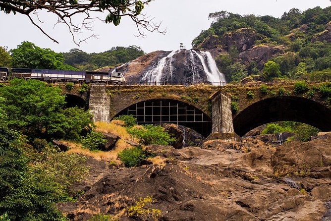 Full-Day Tour Old Goa Dudhsagar Falls and Spice Plantation - A spice plantation with a Goan lunch