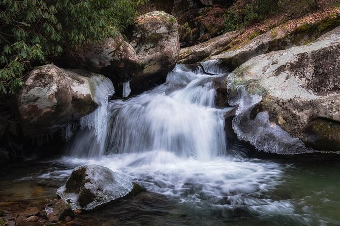 Full-Day Tour With Instruction in Vistas & Waterfall Photography - Pisgah National Forest and the art of choosing a view