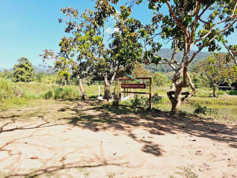 Full-day with CHIANGMAI ELEPHANT CARE and Sticky waterfall - Guide quality can shape the day