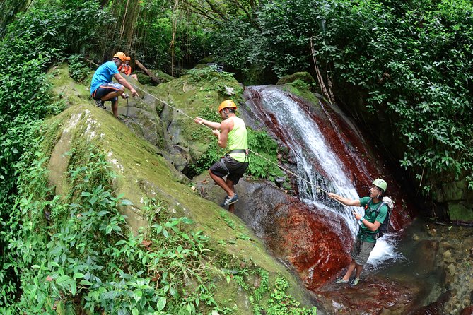 Full-Day Zipline and Waterfall Rappelling Adventure Near San Juan - From Isla Verde to the Carite mountains