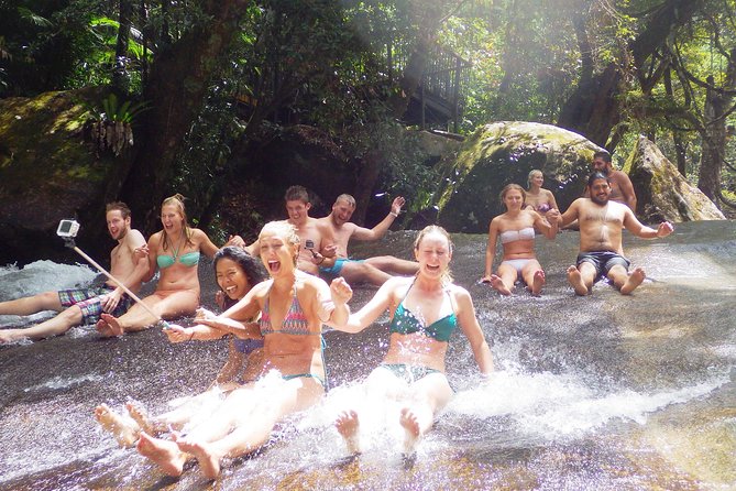 Fun, Falls and Forests Day Trip from Cairns - Millaa Millaa Falls and the famous waterfall setting