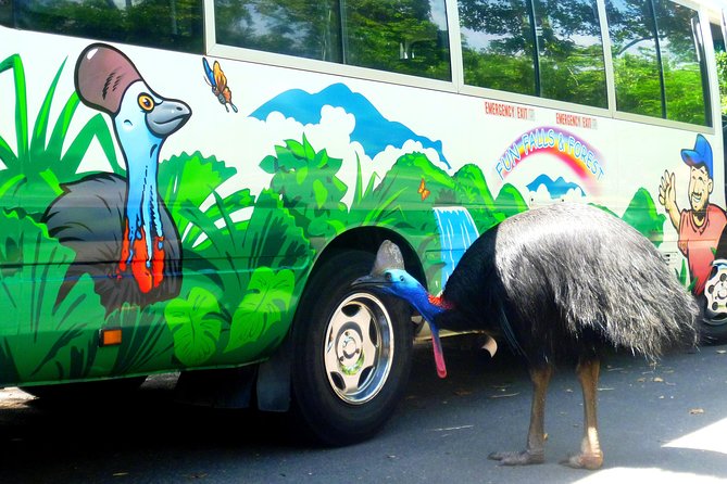 Fun, Falls and Forests Day Trip from Cairns - The guides, music and group atmosphere