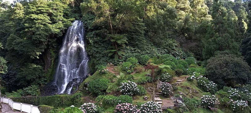 Furnas Volcano: Full Day Tour, Hot Springs & Waterfalls - What this Furnas day tour is really designed to do