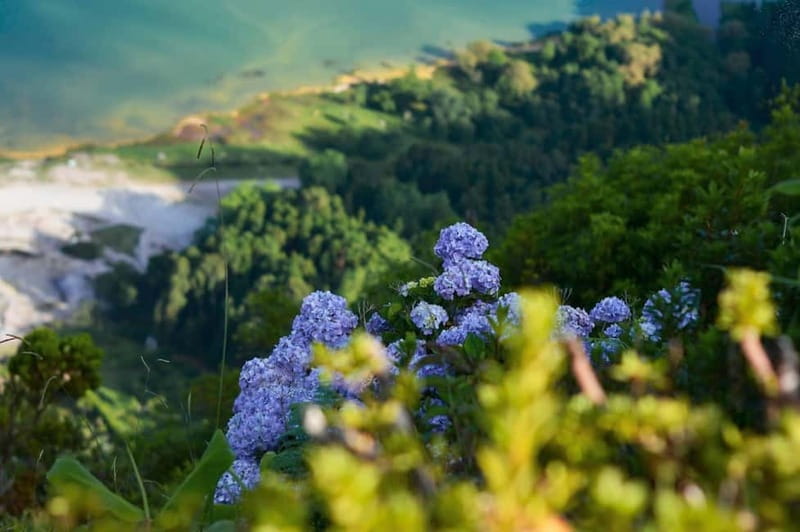 Furnas Volcano: Full Day Tour, Hot Springs & Waterfalls - Ribeira dos Caldeirões brings waterfalls and old watermills