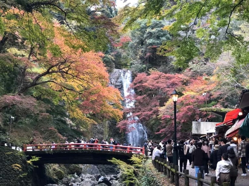 Get to know Minoo from Osaka. Katsuoji Temple, Ryuanji Waterfall and Ryuanji Temple - Why Katsuoji makes this Osaka day trip special