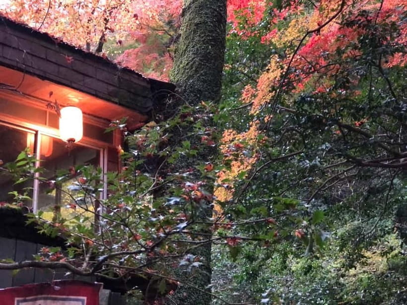 Get to know Minoo from Osaka. Katsuoji Temple, Ryuanji Waterfall and Ryuanji Temple - Should you book the Katsuoji and Minoo tour?