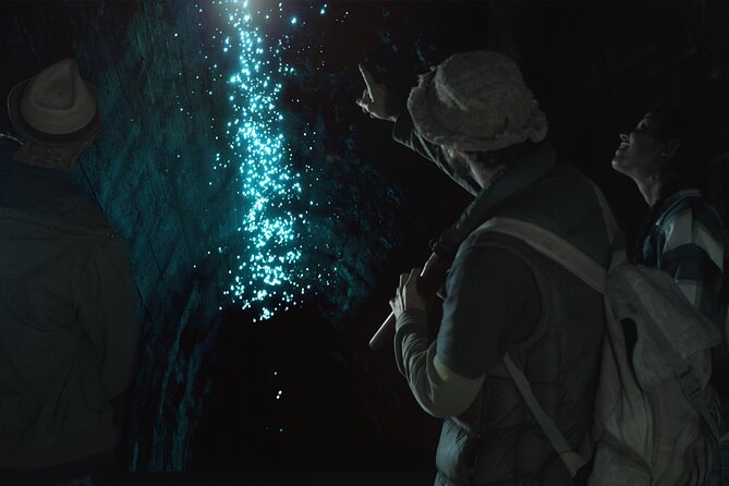 Glow-worms, Waterfalls & Rainforest Experience - At a glance