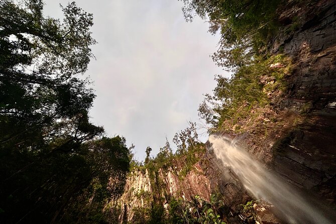 Glow-worms, Waterfalls & Rainforest Experience - What the six-hour format means