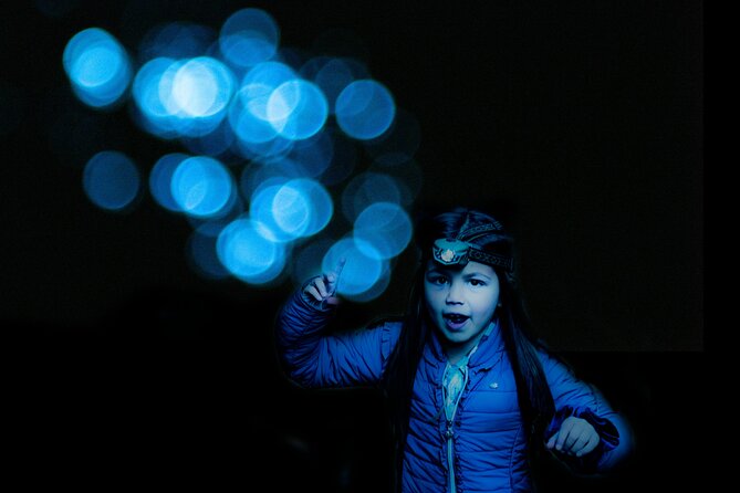 Glow-worms, Waterfalls & Rainforest Experience - Is $99.70 good value?