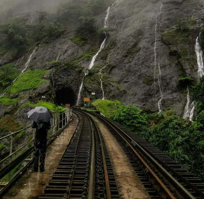Goa: SIC Dudhsagar Waterfall and Spice Plantation Day Tour - Dudhsagar Waterfall Is the Reason to Go