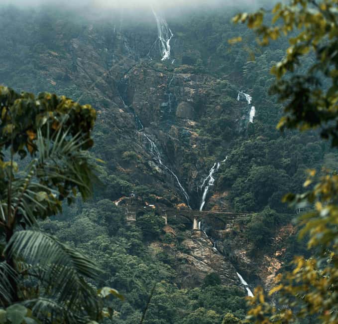 Goa: SIC Dudhsagar Waterfall and Spice Plantation Day Tour - What the $41 Price Really Covers