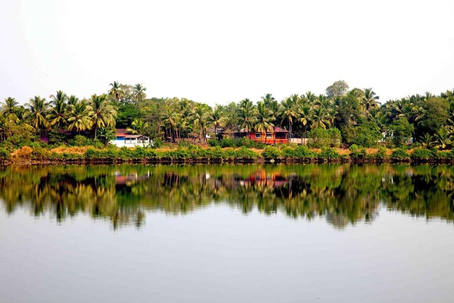 Goa: SIC Dudhsagar Waterfall and Spice Plantation Day Tour - Final Advice: Book It for the Falls and the Value