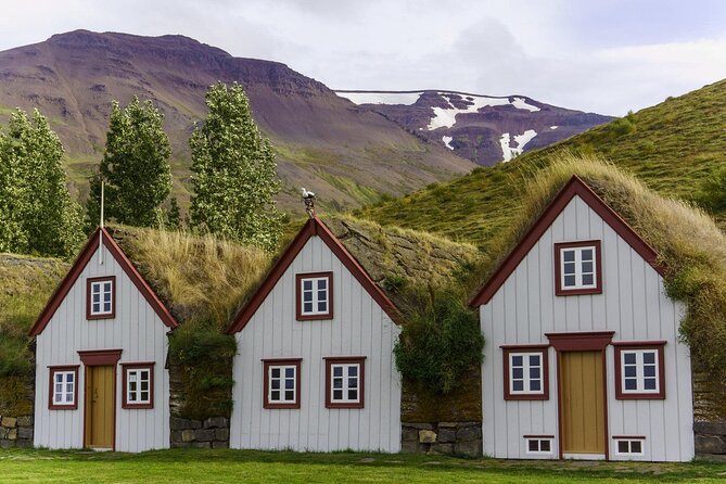 Godafoss Waterfall & Turf House Half-Day Tour from Akureyri Port - Goðafoss gives the tour its reason to exist