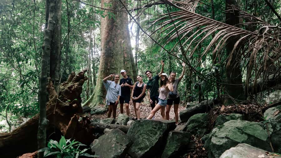 Gold Coast: 6 Waterfalls, Koalas & Natural Bridge Day Tour - Key points to know before booking