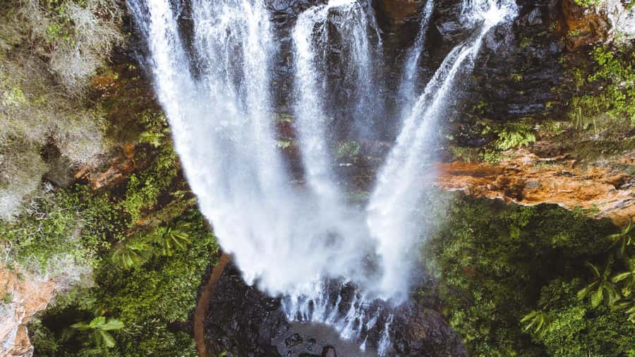 Gold Coast: 6 Waterfalls, Koalas & Natural Bridge Day Tour - From wild koalas to Springbrook rainforest