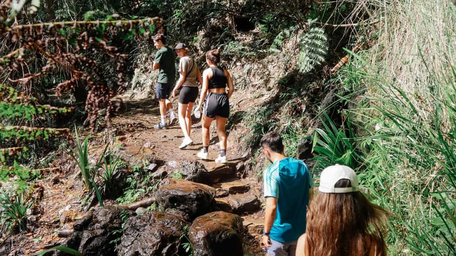 Gold Coast: 6 Waterfalls, Koalas & Natural Bridge Day Tour - Natural Bridge: a strong final stop