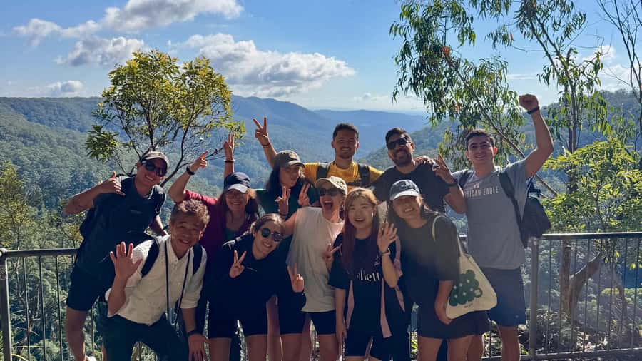 Gold Coast: 6 Waterfalls, Koalas & Natural Bridge Day Tour - What the small-group format changes