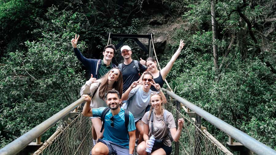 Gold Coast: 6 Waterfalls, Koalas & Natural Bridge Day Tour - Coombabah Lake: start with a patient wildlife search
