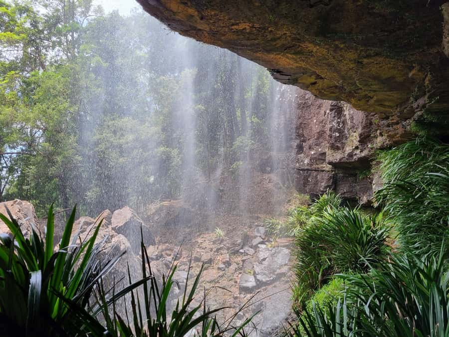 Gold Coast: Kangaroos, Rainforest & Waterfalls Experience - Lunch by a waterfall