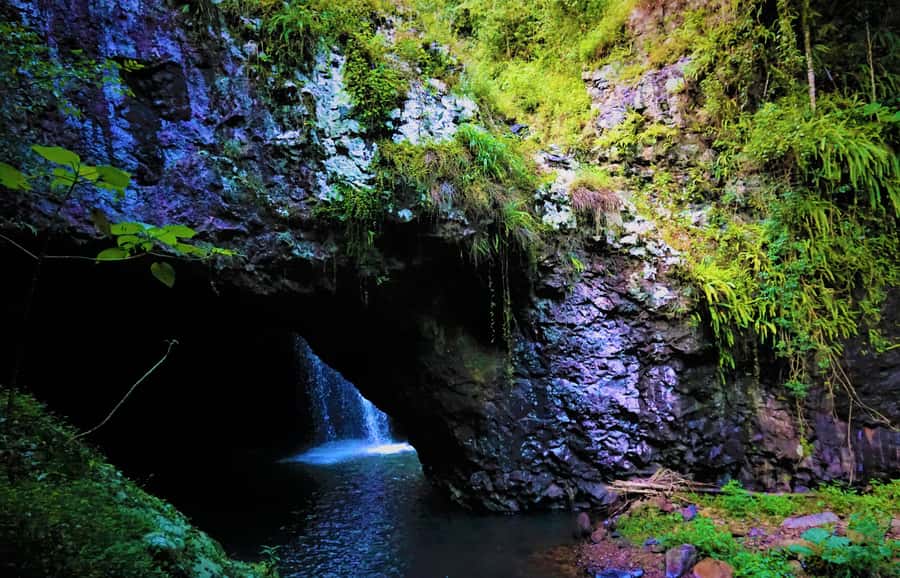 Gold Coast: Kangaroos, Rainforest & Waterfalls Experience - Natural Bridge: a short first look at the park