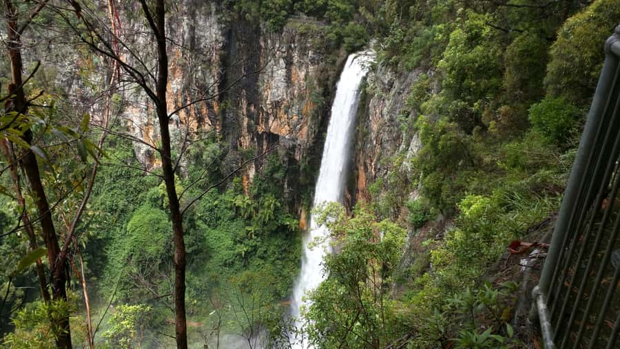 Gold Coast: Natural Bridge & Springbrook Waterfalls Tour - Key points at a glance