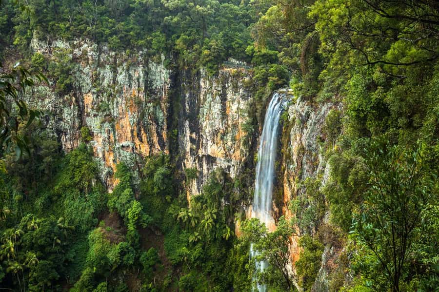 Gold Coast: Natural Bridge & Springbrook Waterfalls Tour - Leaving the Gold Coast for Springbrook National Park