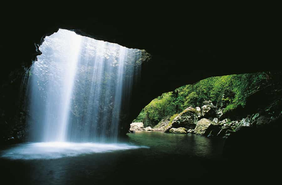 Gold Coast: Natural Bridge & Springbrook Waterfalls Tour - Walking into Natural Bridge