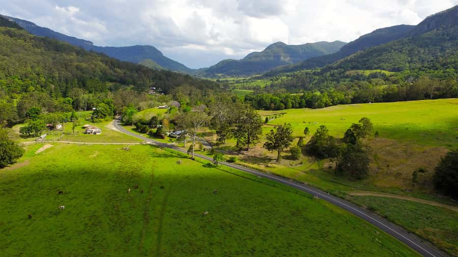 Gold Coast: Natural Bridge & Springbrook Waterfalls Tour - Best of All Lookout and the Antarctic Beech forest