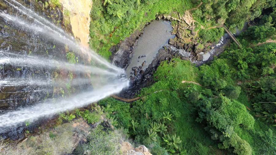 Gold Coast: Natural Bridge & Springbrook Waterfalls Tour - Wildlife, rain, and the ride home