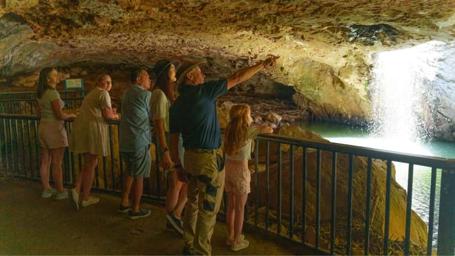 Gold Coast: Natural Bridge & Springbrook Waterfalls Tour - Who should book this half-day trip?