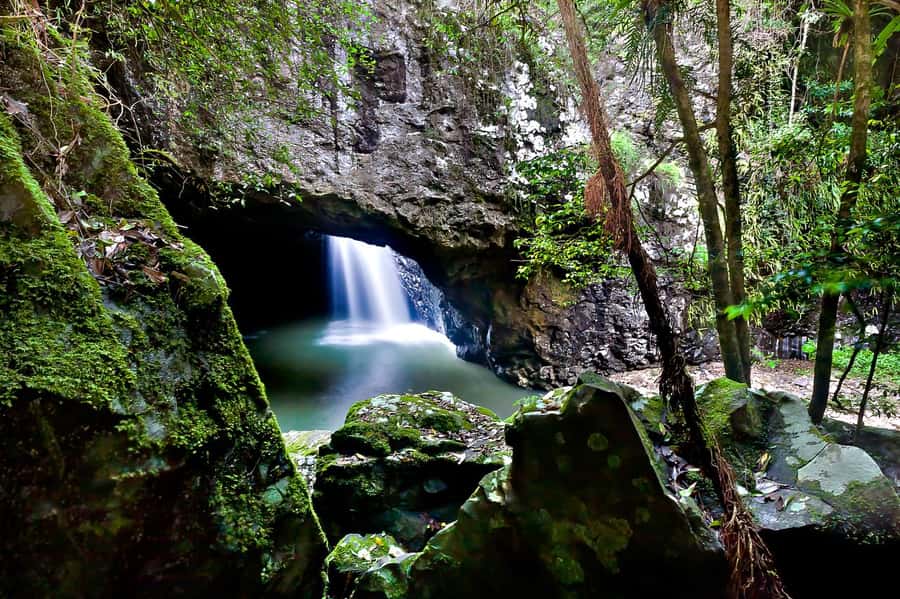 Gold Coast: Natural Bridge & Springbrook Waterfalls Tour - Should you book Natural Bridge and Springbrook?