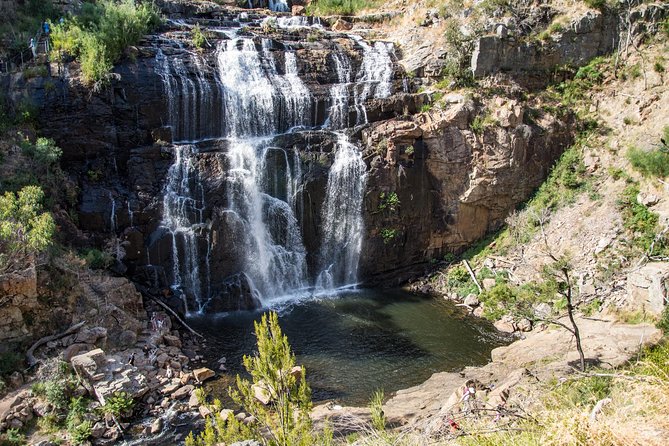 Grampians National Park with MacKenzie Falls and Kangaroos - Key points to know before booking