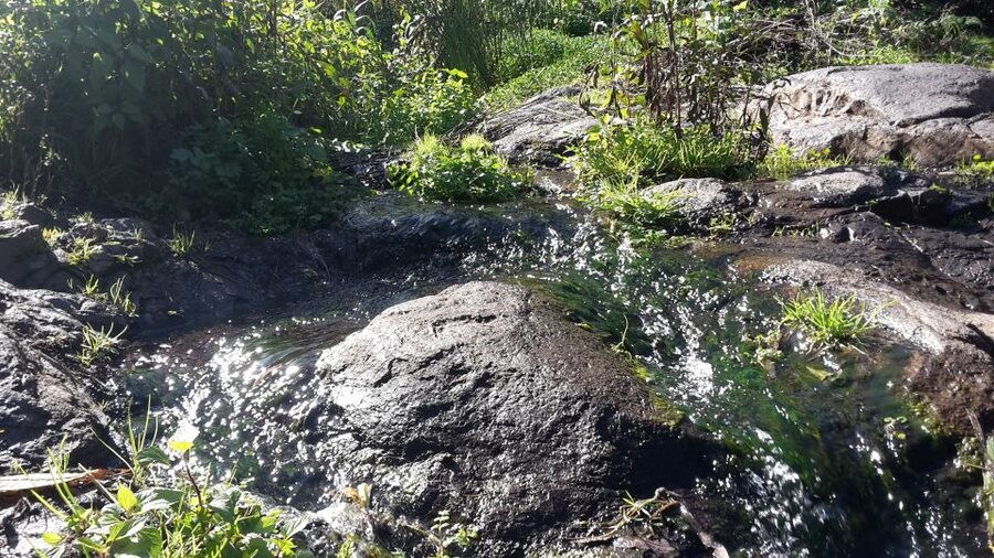 Gran Canaria: "Magic Waterfalls" Hiking Tour - Key details at a glance