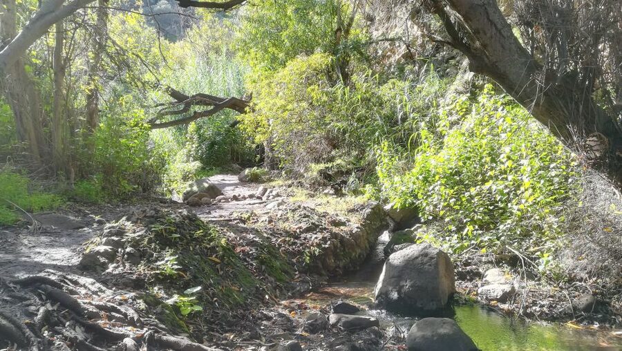 Gran Canaria: "Magic Waterfalls" Hiking Tour - The walk: 7 kilometers through changing terrain