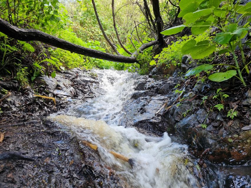 Gran Canaria: "Magic Waterfalls" Hiking Tour - What to bring for a comfortable day